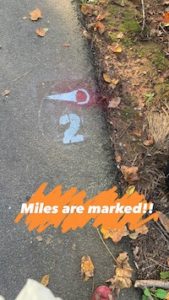 Silver Comet Races 2021 Half & Full Marathon Course Markings